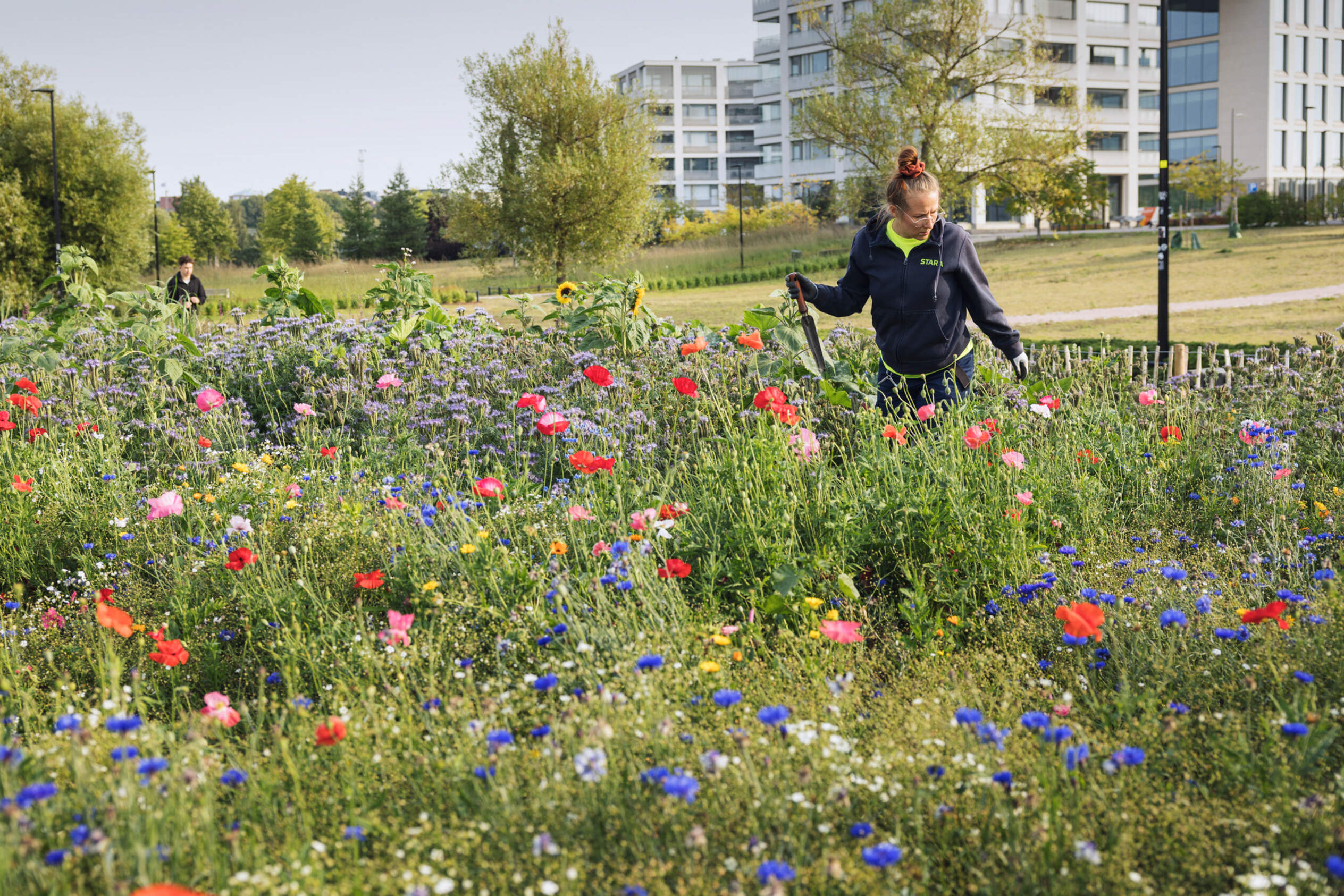 En mångformig och funktionell stadsnatur förverkligas med hjälp av VårStad