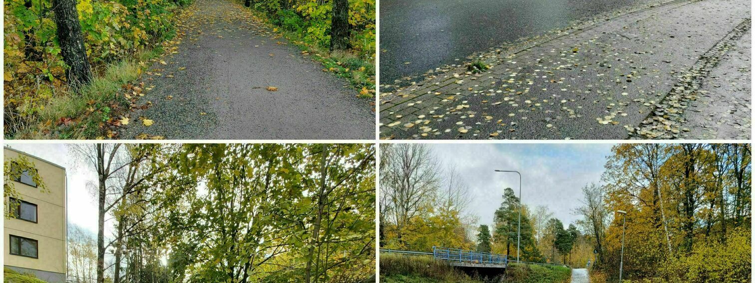 Lisää liikuntaa kaikille turvallisilla poluilla Pihlajistossa ja Viikinmäessä