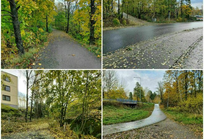 Lisää liikuntaa kaikille turvallisilla poluilla Pihlajistossa ja Viikinmäessä