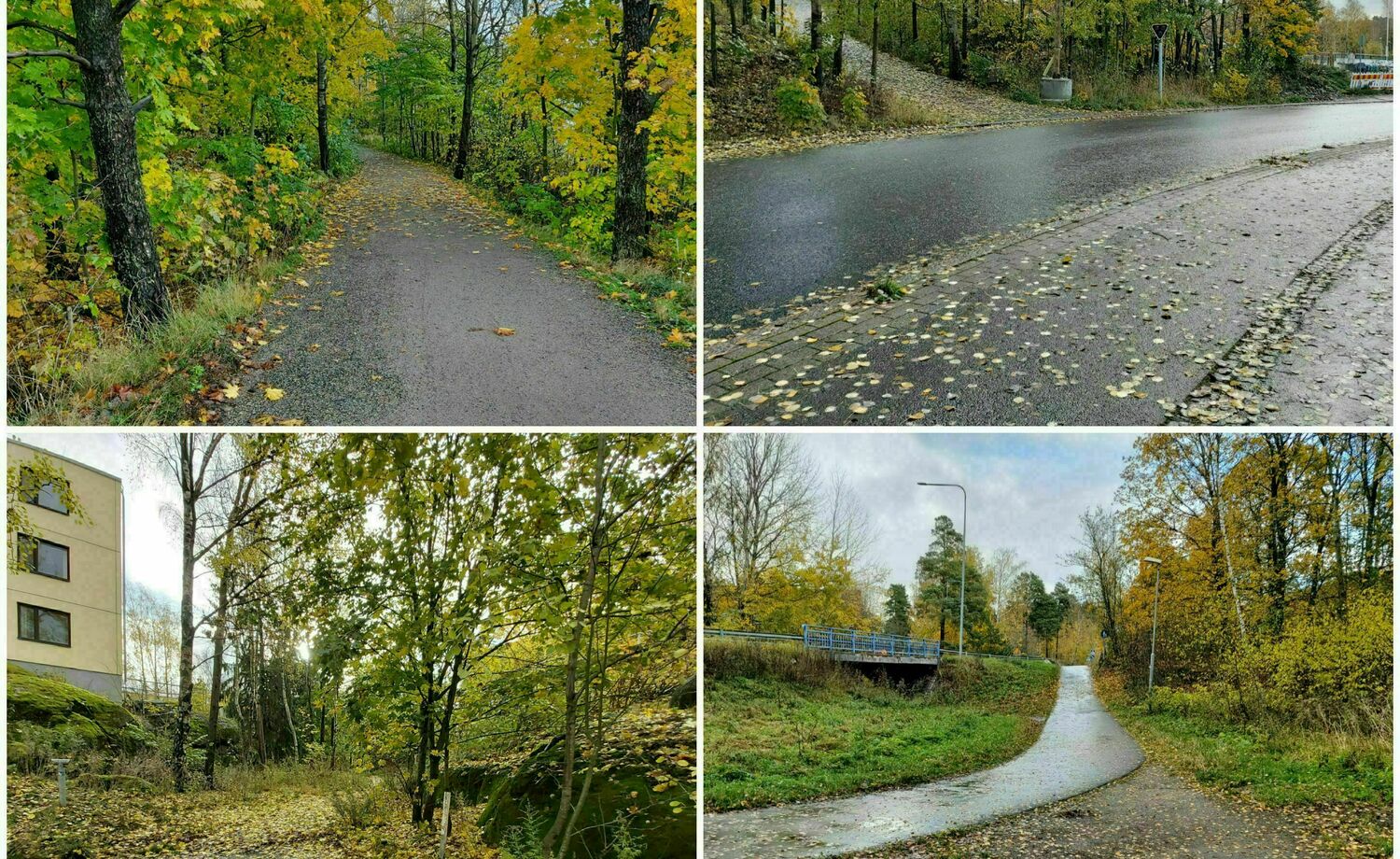 Lisää liikuntaa kaikille turvallisilla poluilla Pihlajistossa ja Viikinmäessä