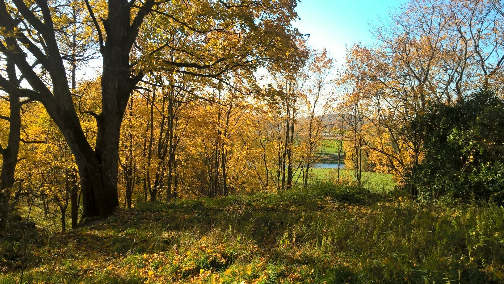 Tapaninvainion rantapuiston ja Kapteenskanmäen kehittäminen