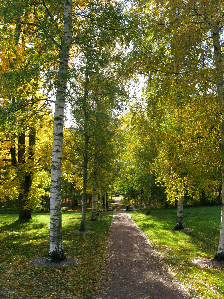 Luontoelämyspolku Annalan tammimetsään