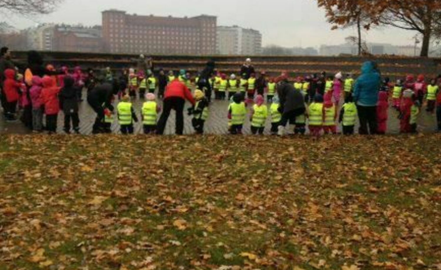 Tervasaaressa yhdessä, kokeillen ja oppien!