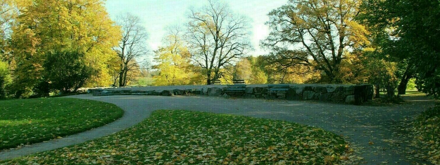 Tullisaari Goes Classic