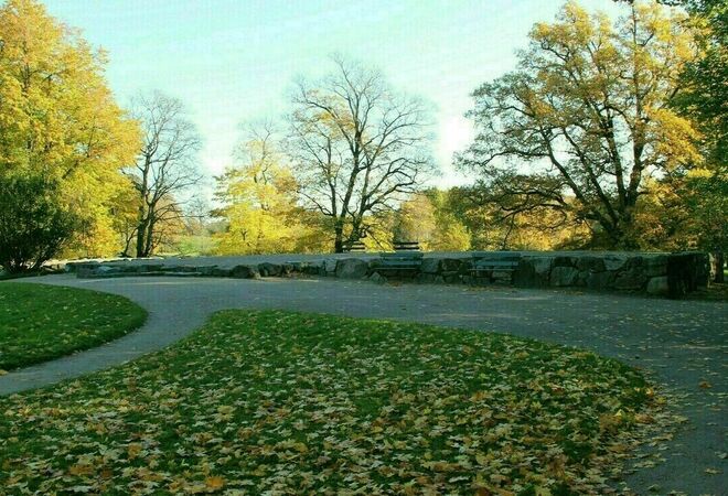 Turholm Goes Classic 