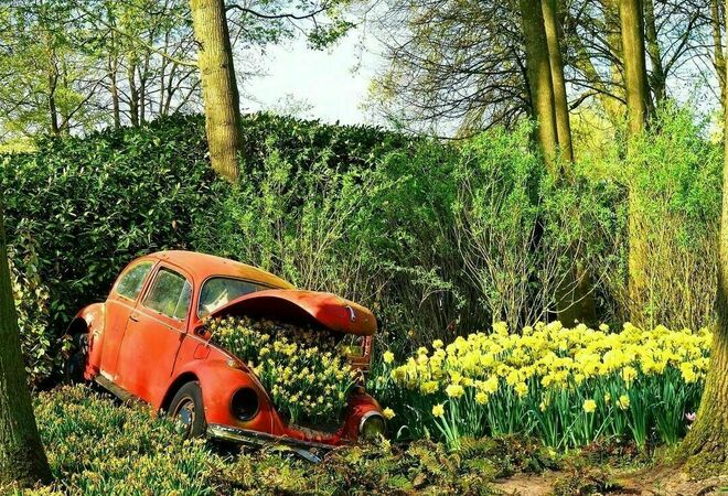 Läntisen Helsingin nuorille hyvinvointipuisto ja perheille virkistyspolku