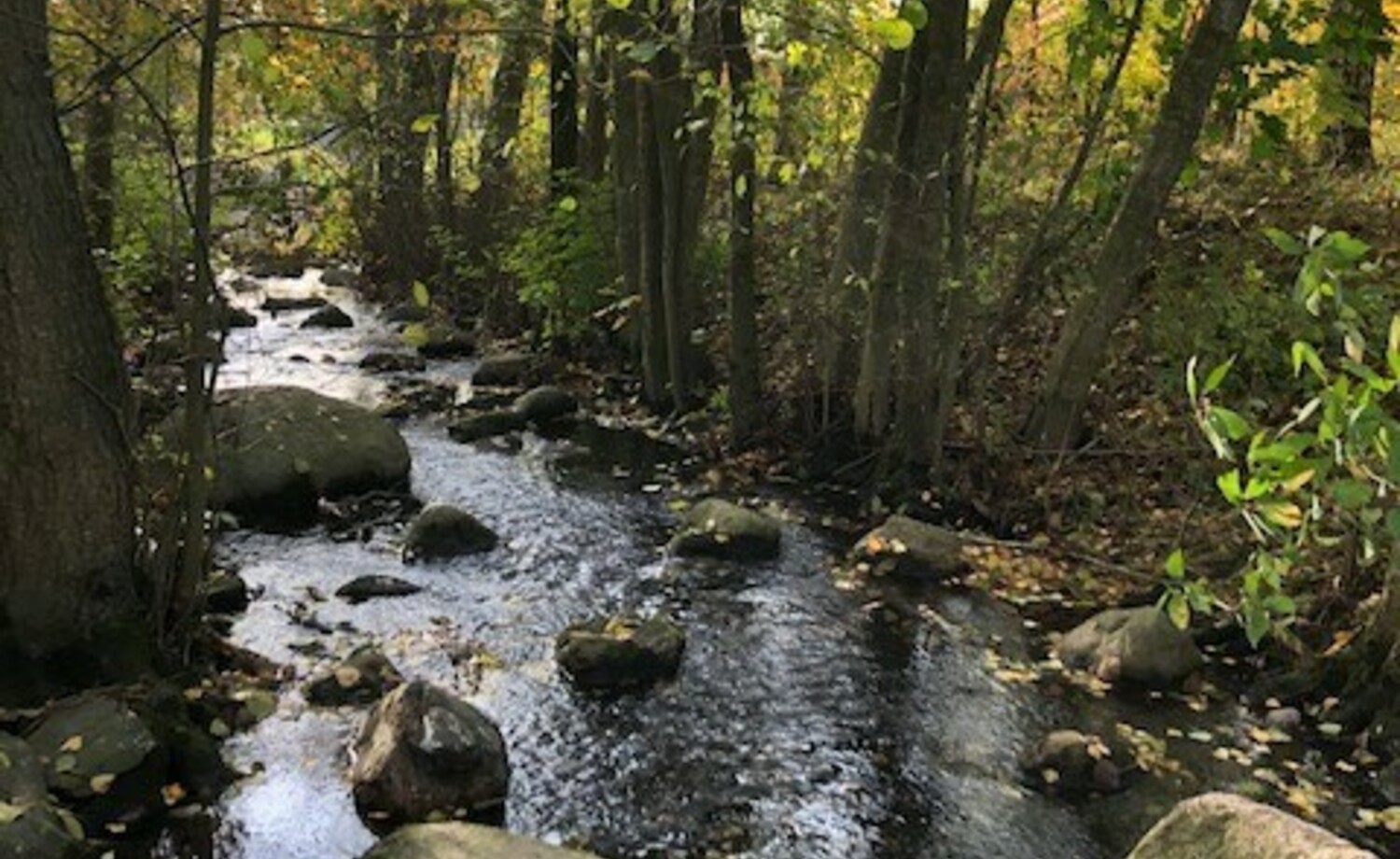 Mustapuro, Itäkeskus