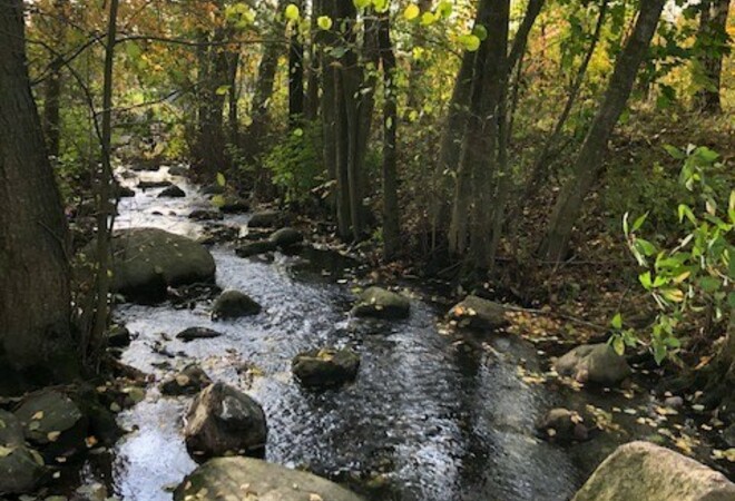 Koko Stadin #puropäivä yhteisöllisenä kaupunkipäivänä