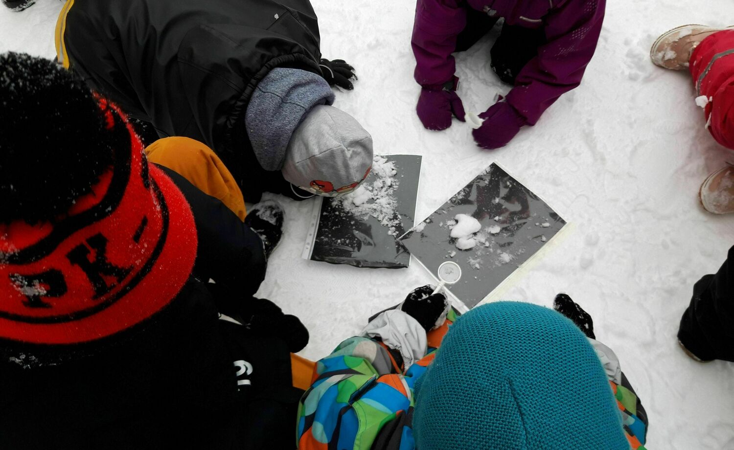 En grill- eller lägereldsplats utomhus för lärande och rekreation
