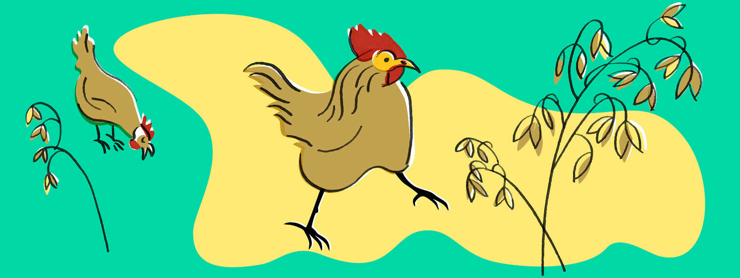 Lisää niittyjä ja niittytoimintaa - luonnonketoja ja villiniittyjä