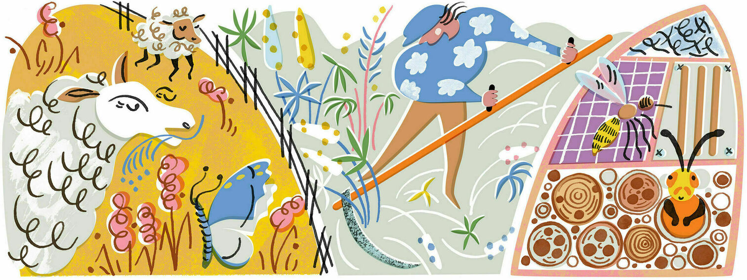 Grazing at Uutela recreational area