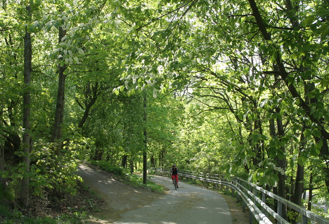 Plan image: Improving Vuosaari’s transverse recreational connection