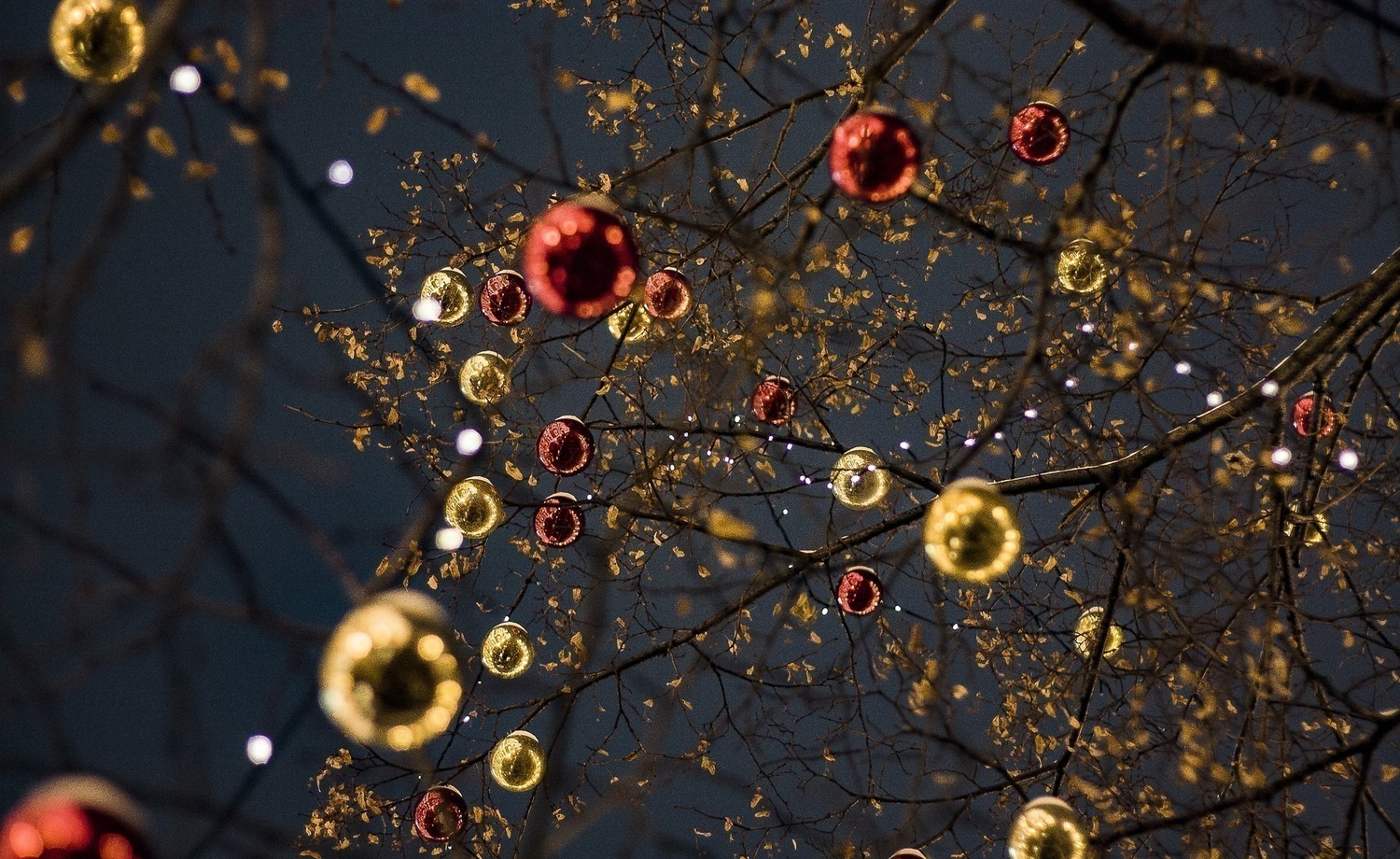 Valaistu joulupuu kaikkiin kaupunginosiin