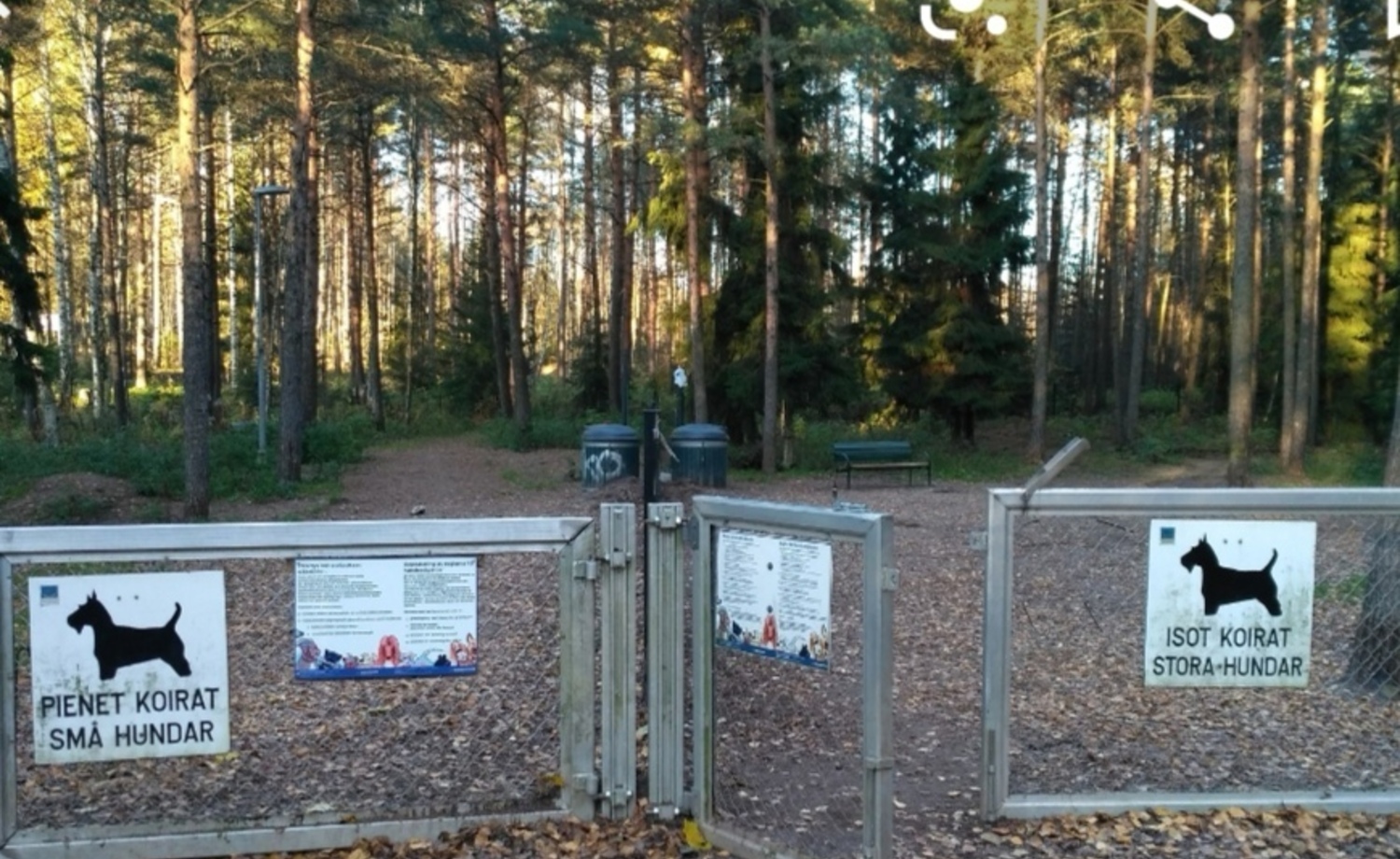 Koirapuisto 