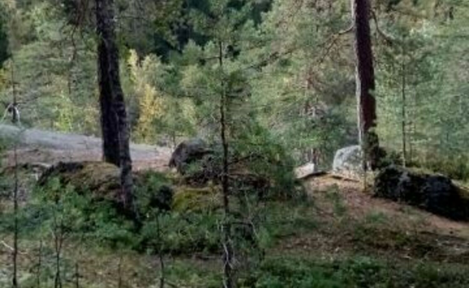 Getting to know nature!