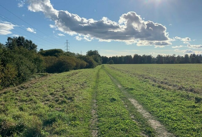Kaarelanpuiston kävelytie ja uusi kävelysilta Mätäjoen yli