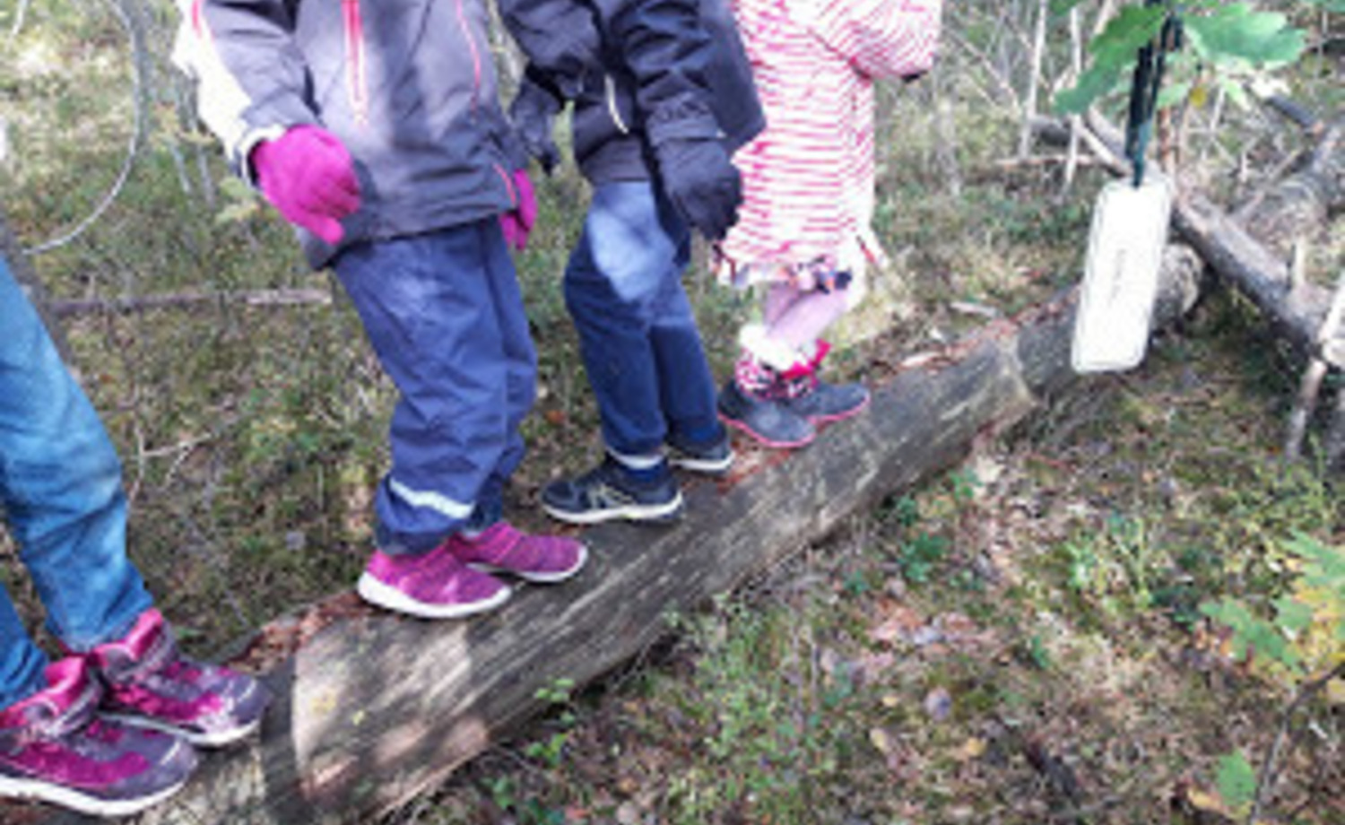 Ulkona oppimassa uutta