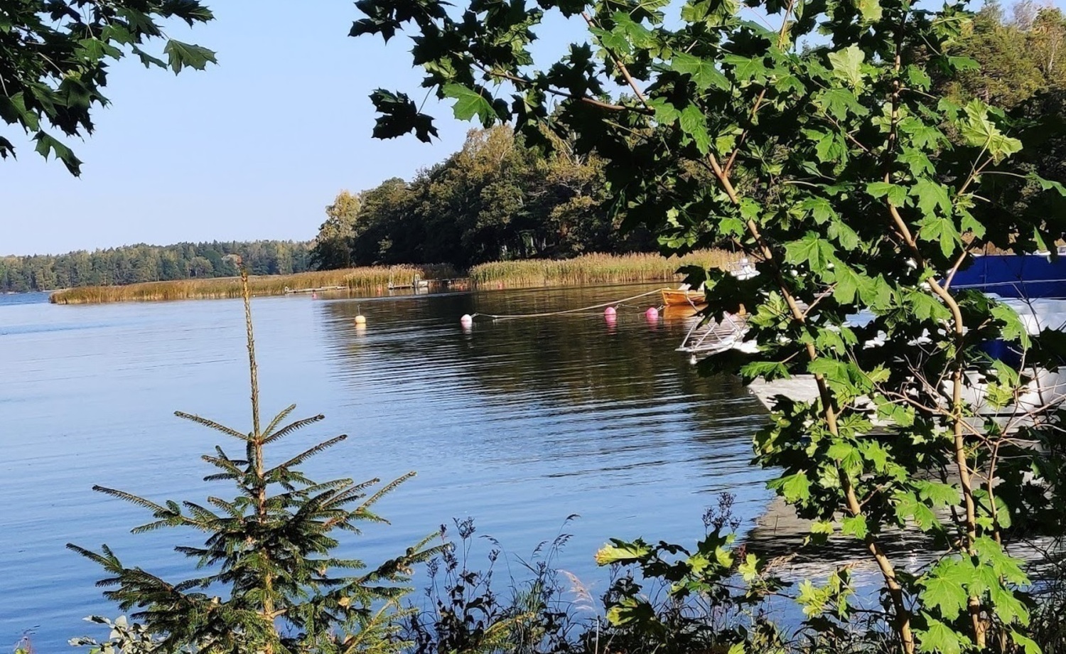 Hämeenapajan rantareitti