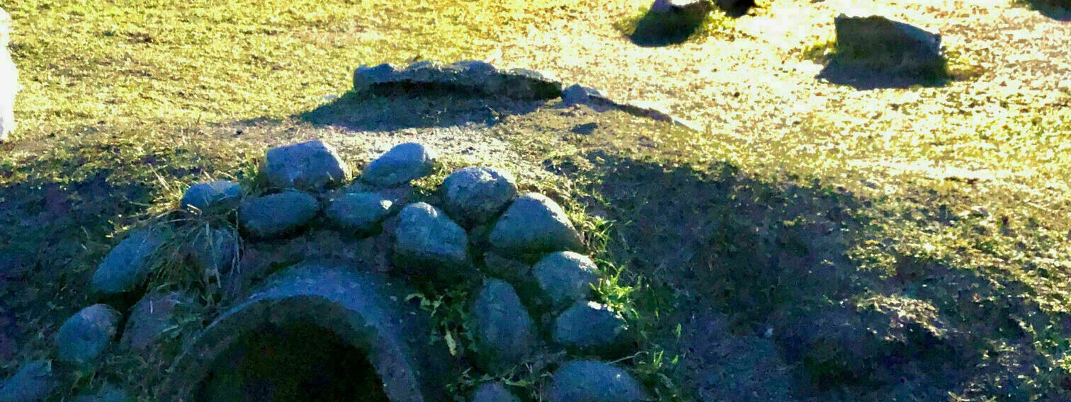 Malmin koirapuiston kehittäminen