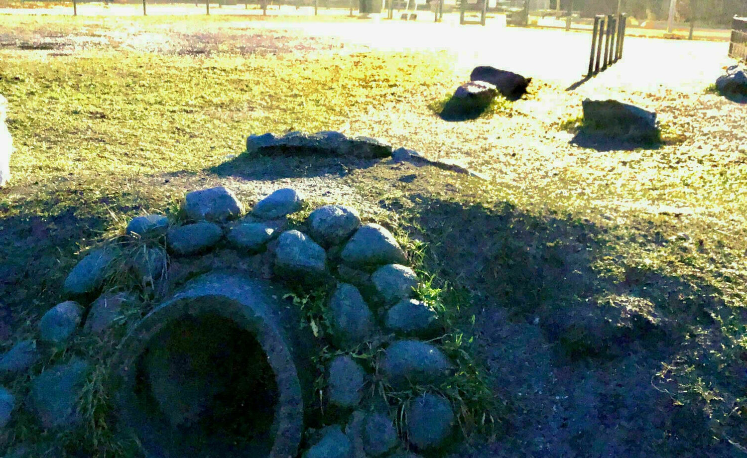 Malmin koirapuiston kehittäminen