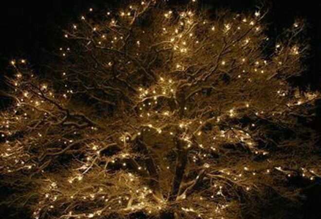 Tyylikkäitä valoja puihin