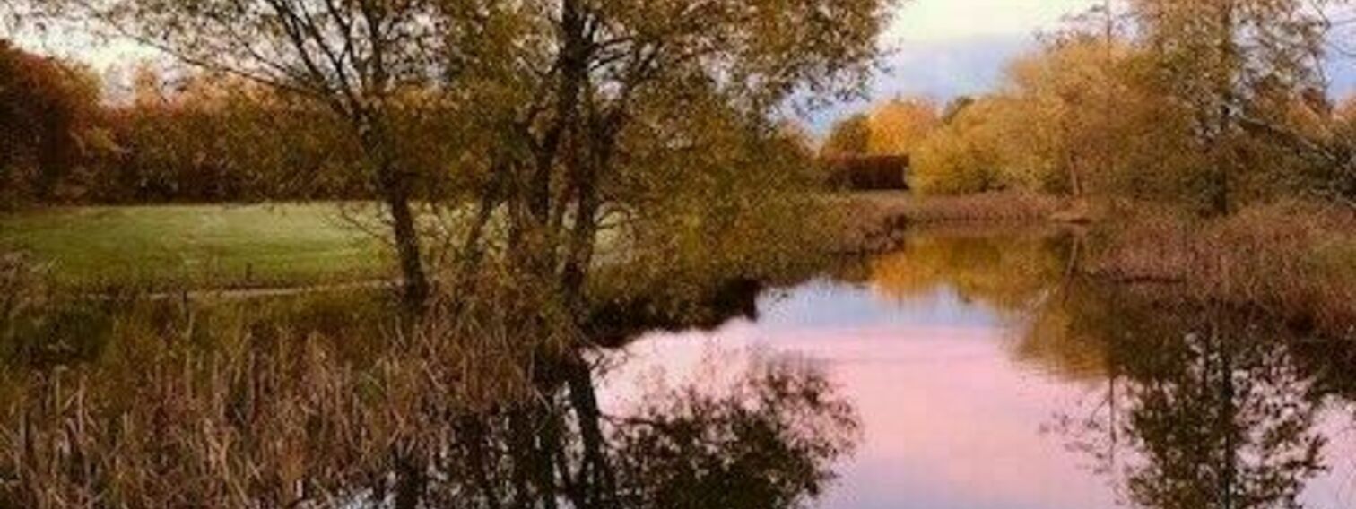 Mätäjokilaakson kaupunkipuisto – Läntisen Helsingin keskuspuisto