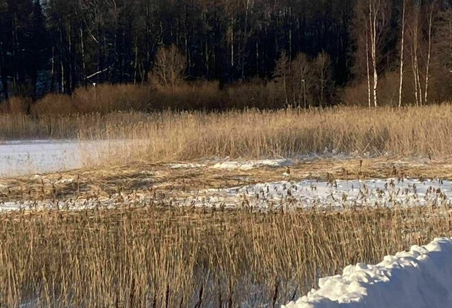 Muddring vid Botbyviken samt Broända bäcken