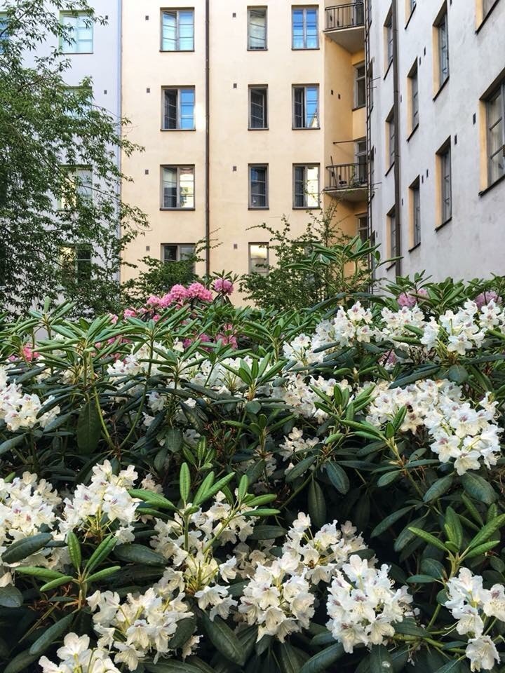 Korttelipihan perustamisneuvot