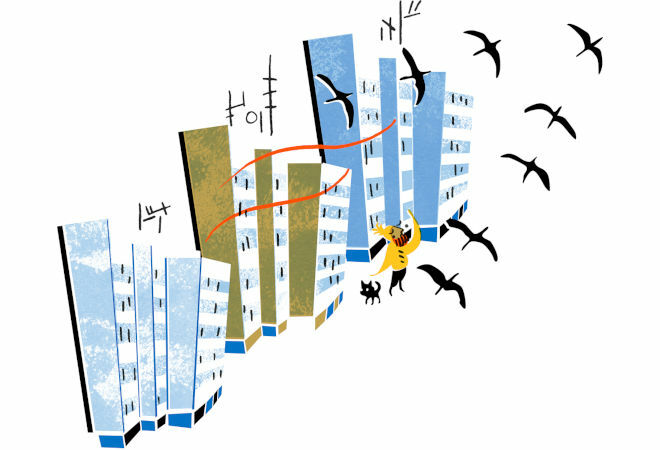 Bird‑friendly construction