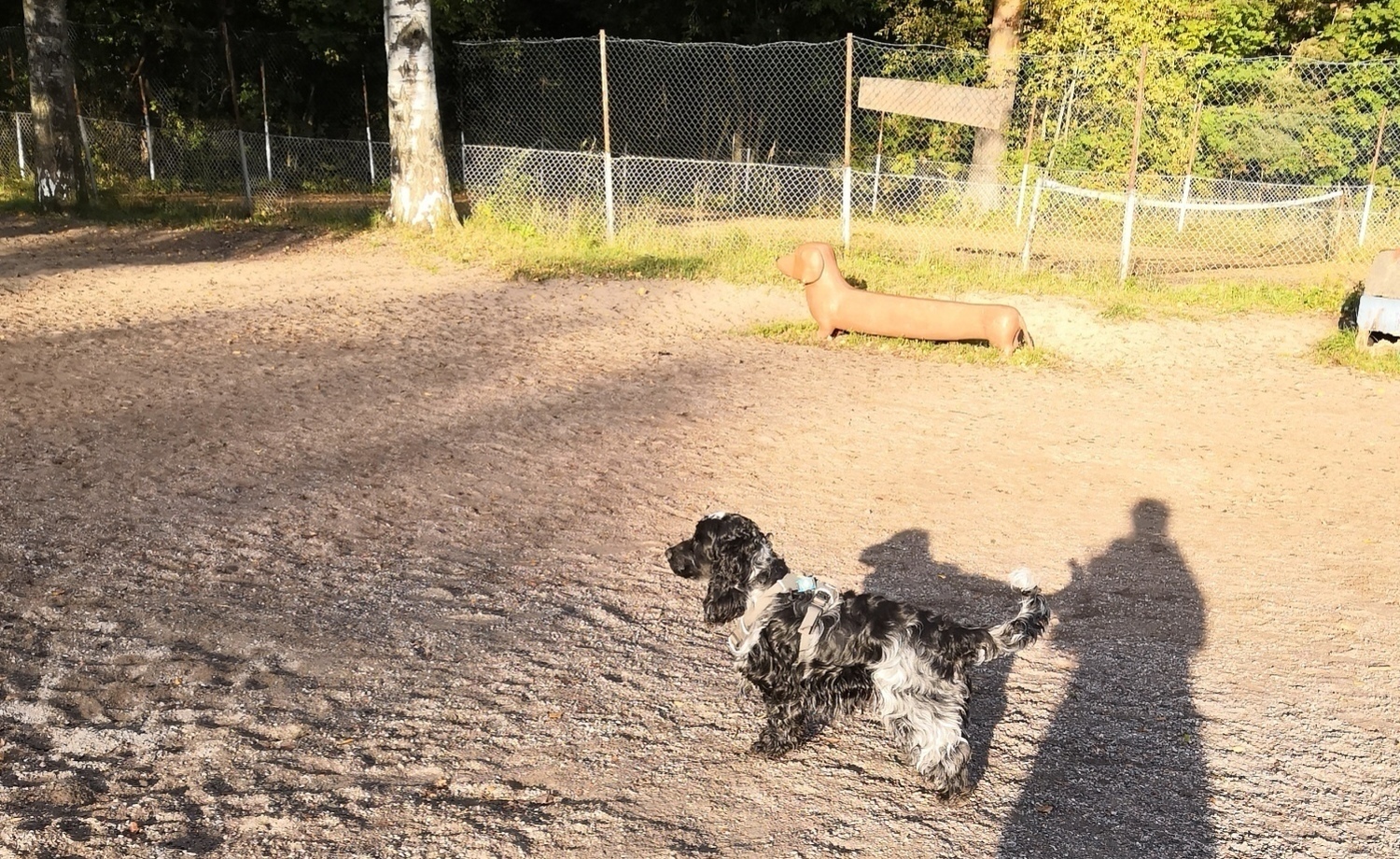 Koirapuistot kuntoon