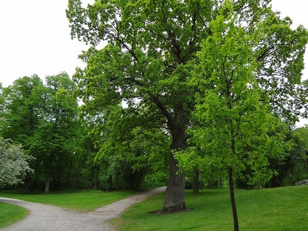 Puotilan metroaseman sähköinen ilmoitustaulu (sopii myös muihinkin kaupunginosiin)