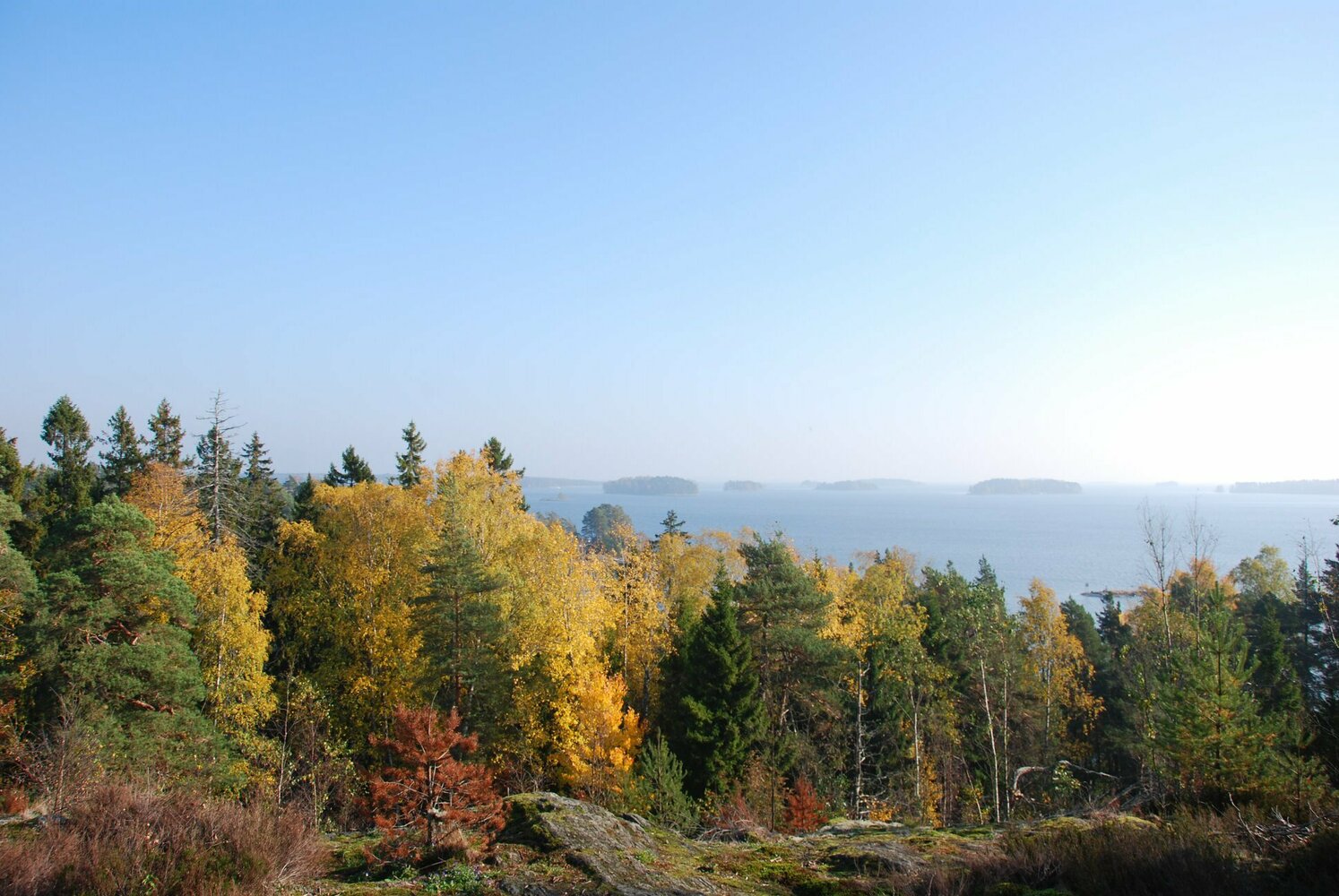 Vartiosaari kaikille! Saaren virkistyskäytön peruspalvelut