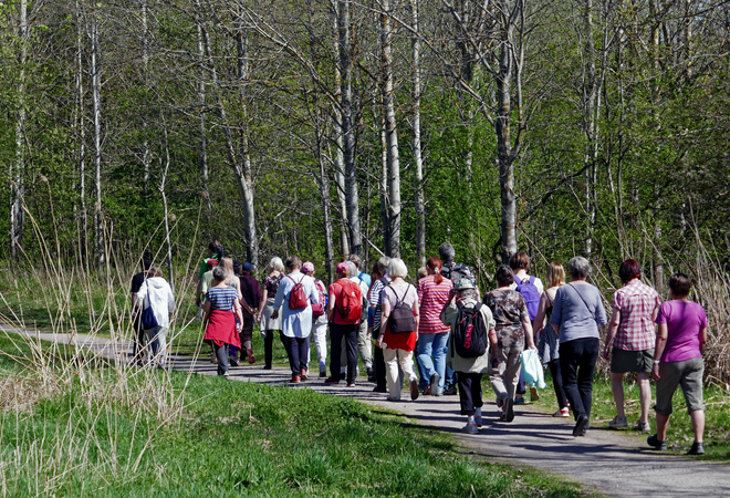 Levähdyspaikat ja opastetaulut avaavat Pitäjänmäen luonnon ja kulttuurin kaikille asukkaille ja kävijöille