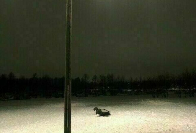 Kartanonhaan koirapuiston laajennus/eriytys pienille ja isoille koirille!