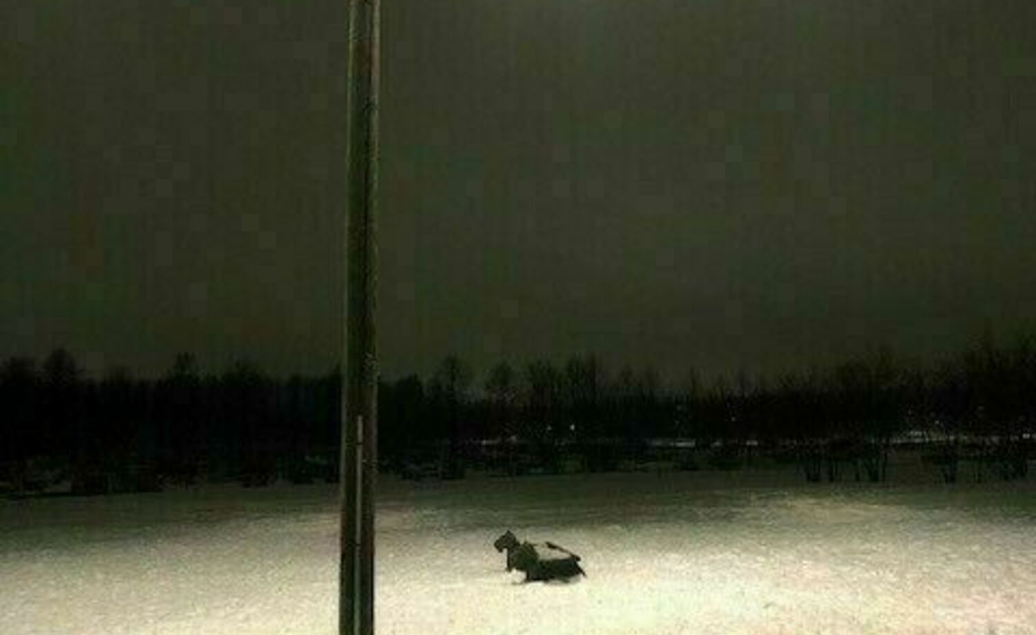 Kartanonhaan koirapuiston laajennus/eriytys pienille ja isoille koirille!