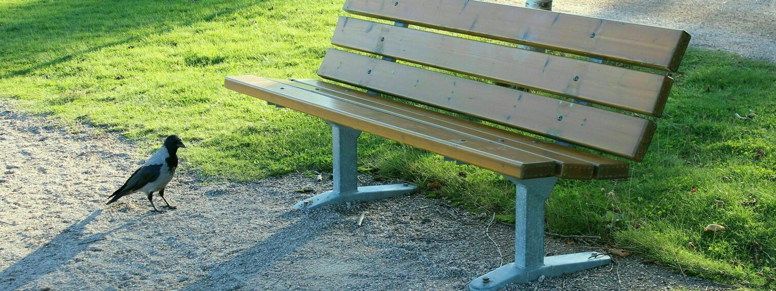 Lisää penkkejä ja roska-astioita Mätäojan ja Kaarelan ratsastustallin viereen.