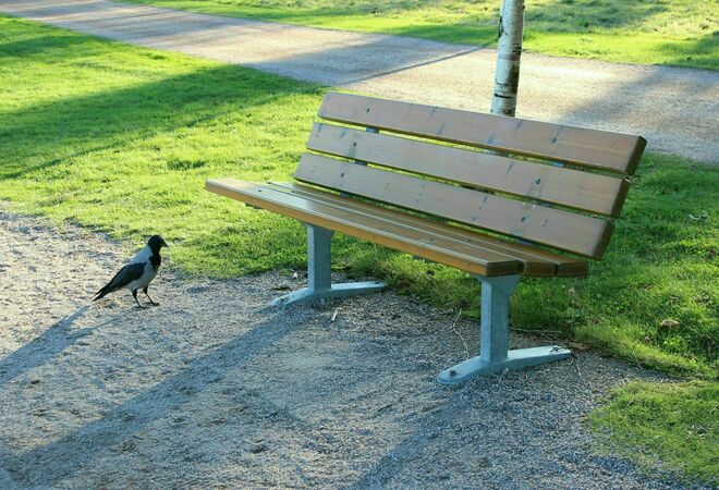 Lisää penkkejä ja roska-astioita Mätäojan ja Kaarelan ratsastustallin viereen.