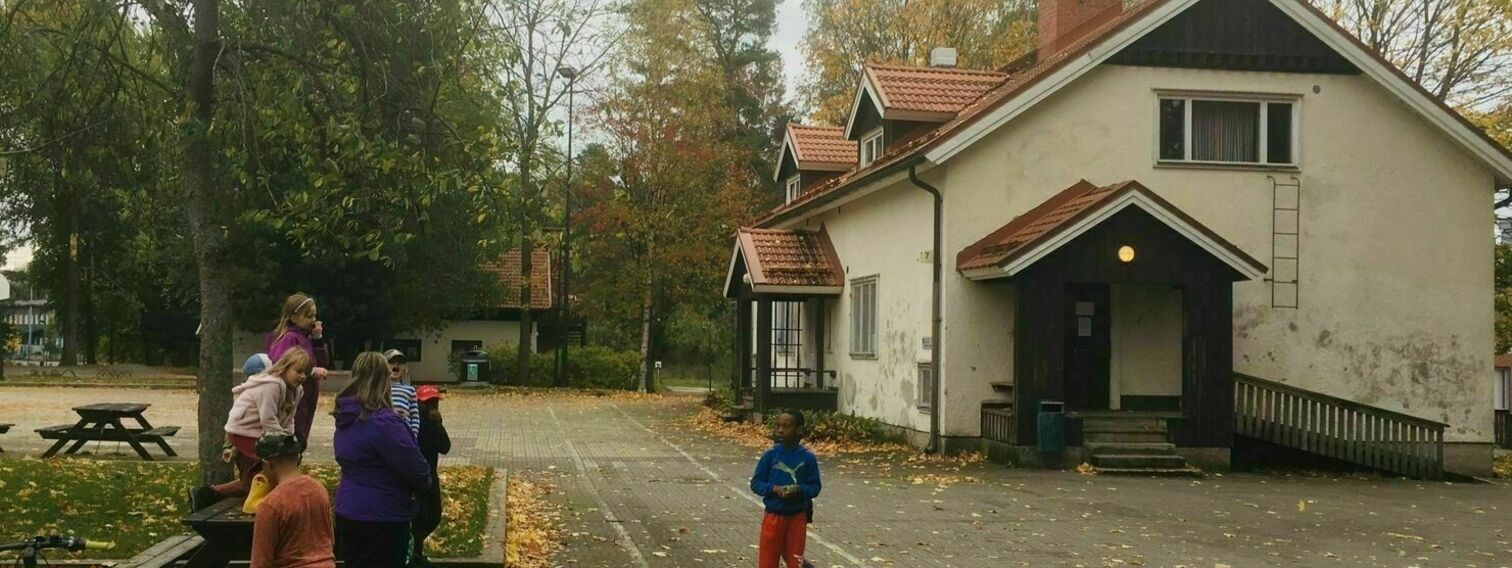 Piianpuisto kukoistukseen