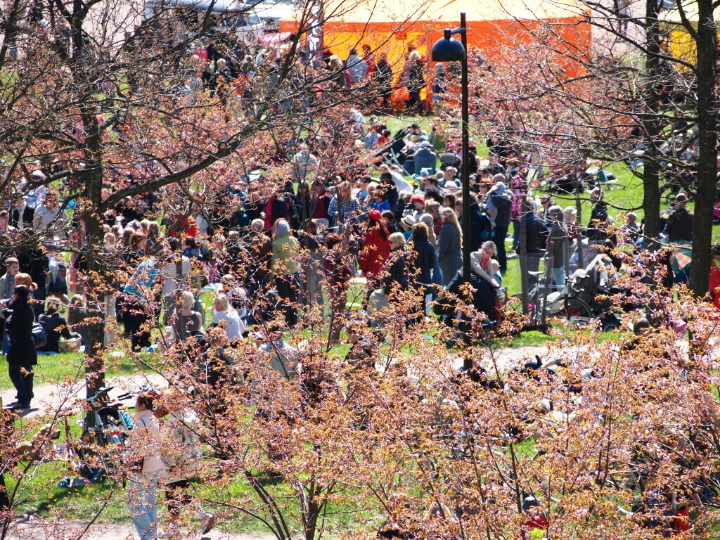 Kävelypolku Kirsikkapuistosta Roihuvuoren vesitornin mäelle.