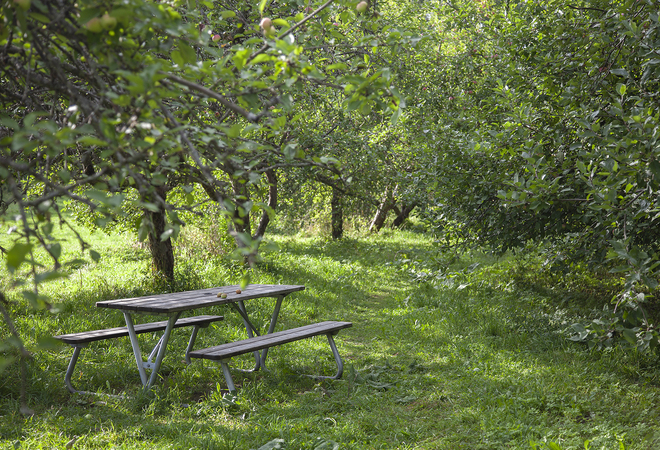 Suunnitelman kuva: Kylänvanhimmanpuistoon pöytäpenkkejä