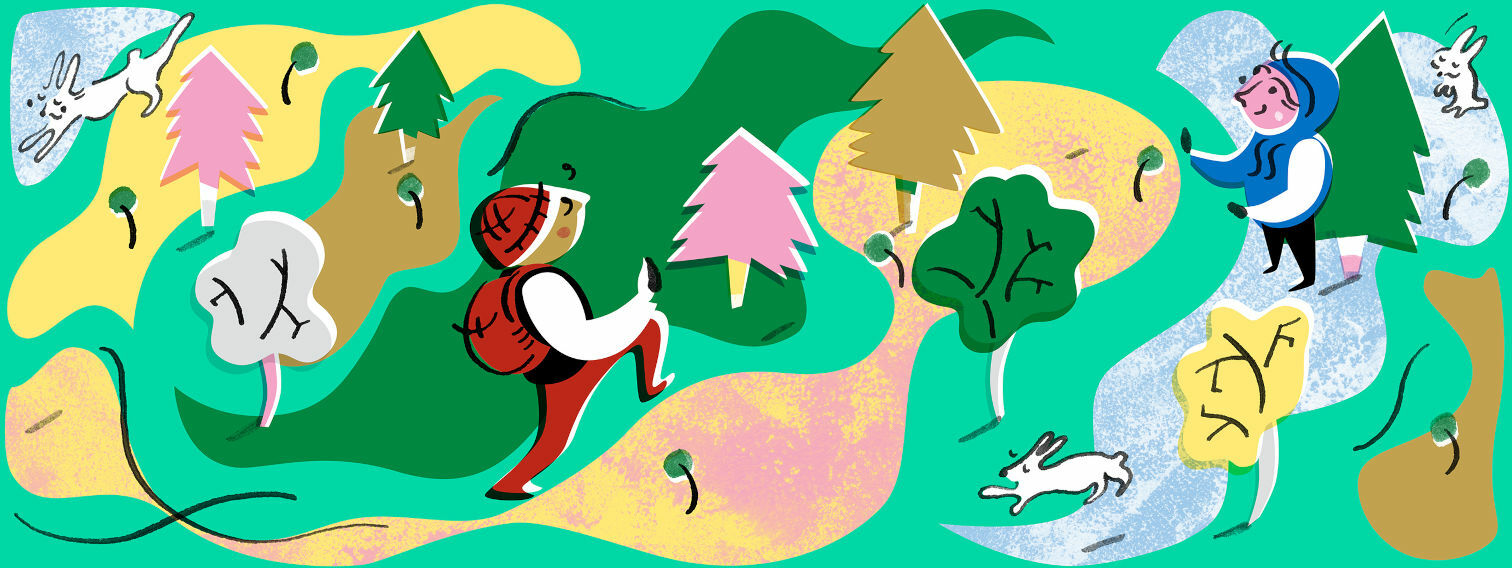 A microforest in central Helsinki