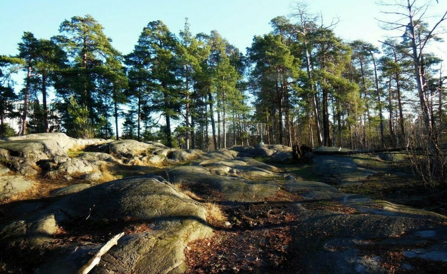 Meilahden radan luontoa