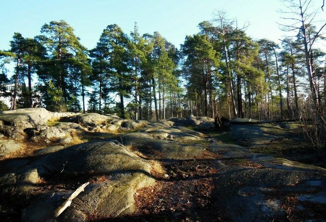 Meilahden Frisbeegolfradan kunnostus