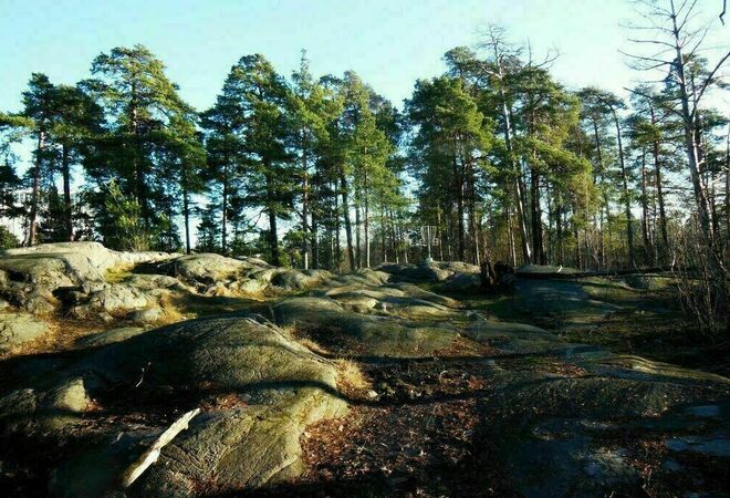 Meilahden Frisbeegolfradan kunnostus