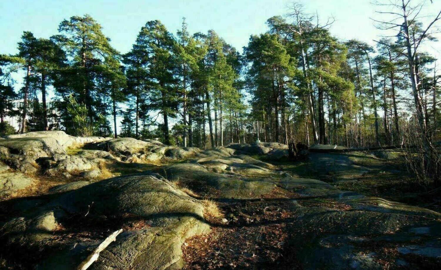 Meilahden Frisbeegolfradan kunnostus