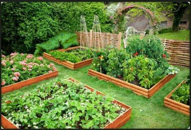 Community garden for the Saukonpaadenpuisto in Jätkäsaari