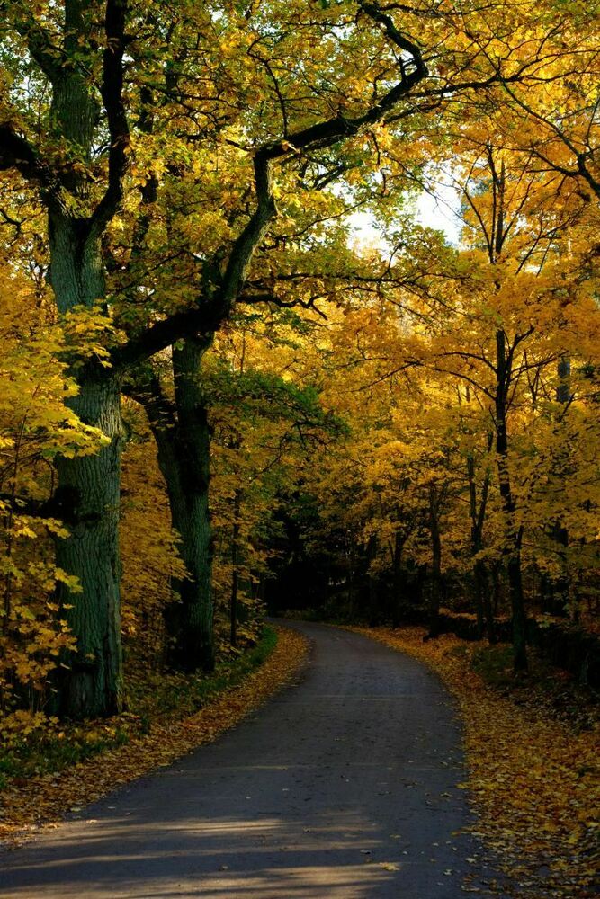 Leikkipaikka Stansvikin alueelle