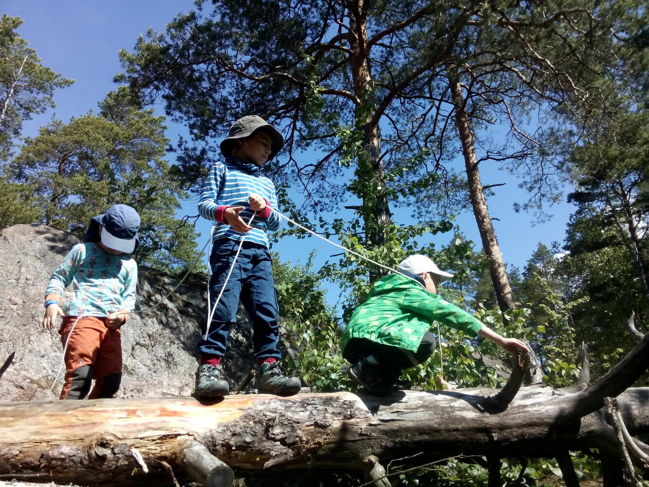 LASTEN METSÄ – Helsingin luontoleikkipuisto  