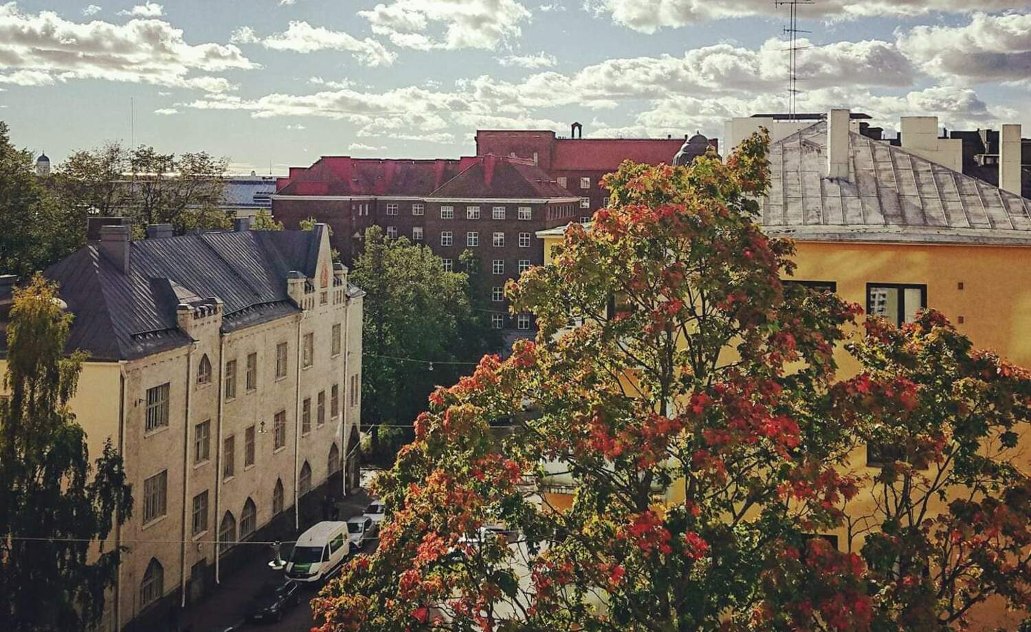 Lisää vehreyttä Kallion kaduille