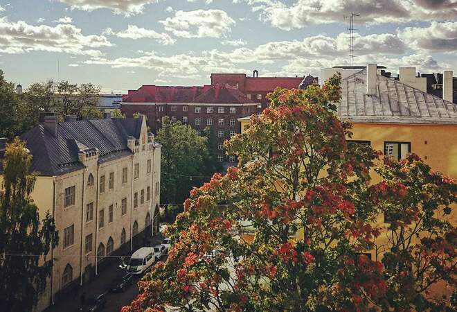 Lisää vehreyttä Kallion kaduille